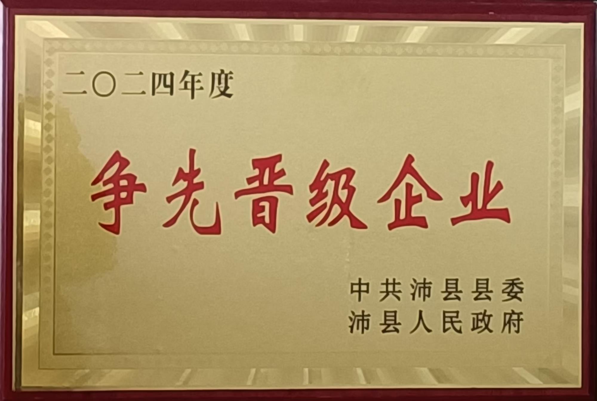 2024年度争先晋级奖.jpg